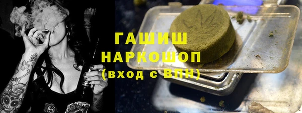 хмурый Абаза