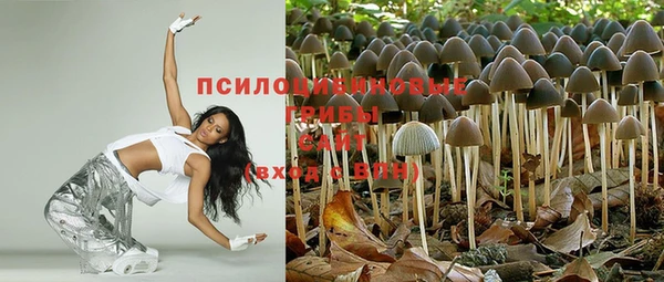 ешки Абинск