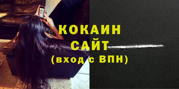 хмурый Абаза