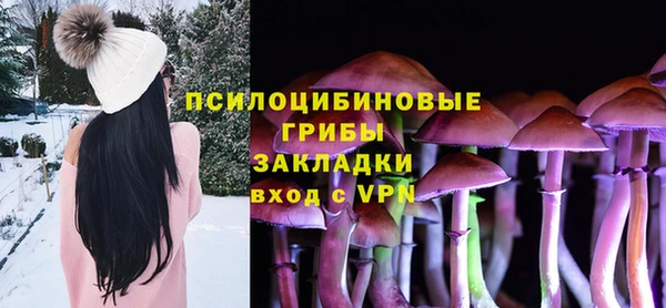 хмурый Абаза