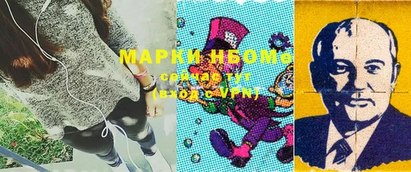 хмурый Абаза